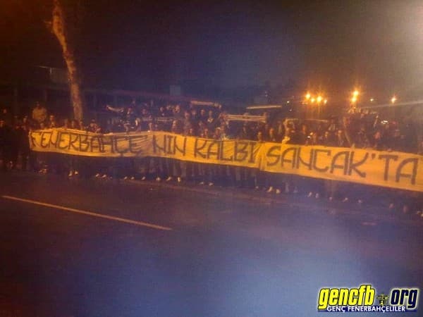 Navijači 12