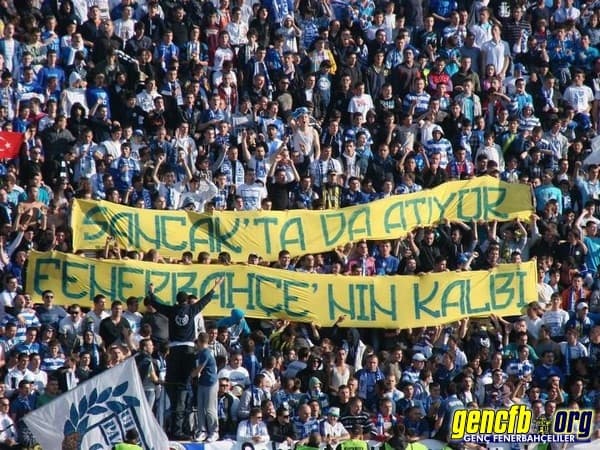 Navijači 15
